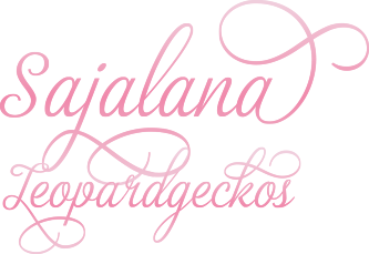Sajalana Geckos Logo